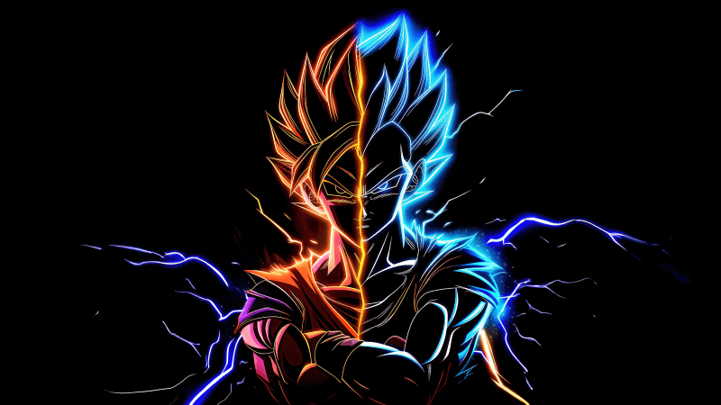 Son Goku Vegeta Wallpaper