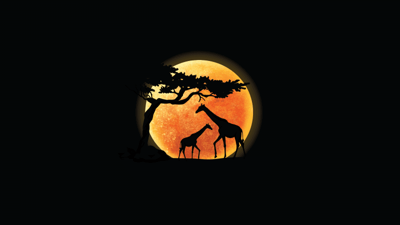 Giraffe Silhouette Wallpaper