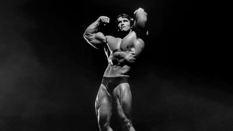 Arnold Schwarzenegger Bodybuilder Wallpaper