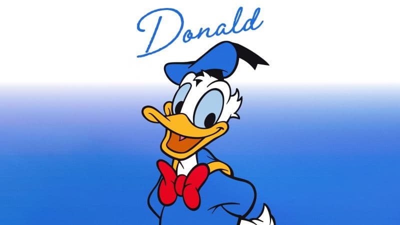 Donald Duck Cartoon Wallpaper