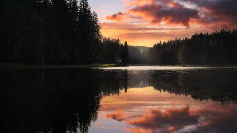 Serene Lake Wallpaper