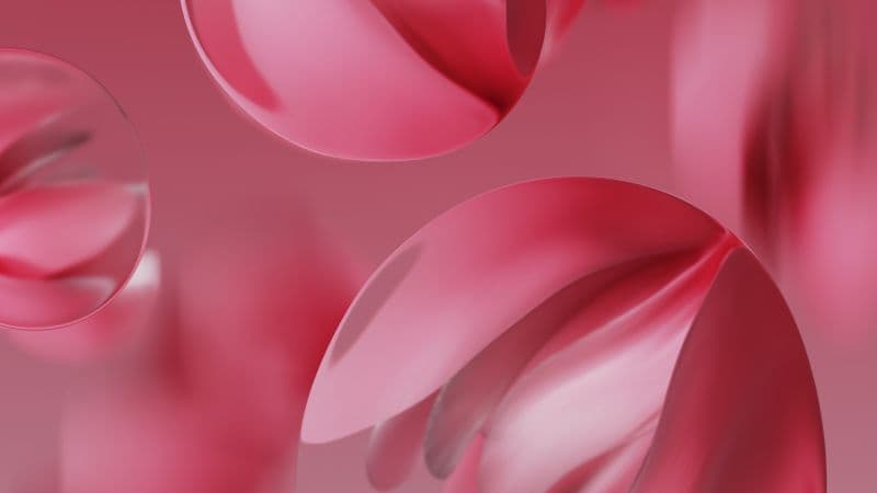 Google Pixel 9a Raspberry Wallpaper