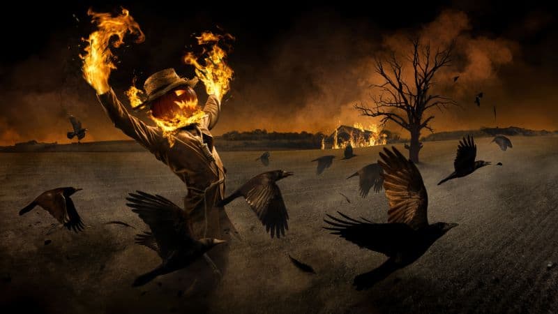 Scarecrow Halloween night Wallpaper