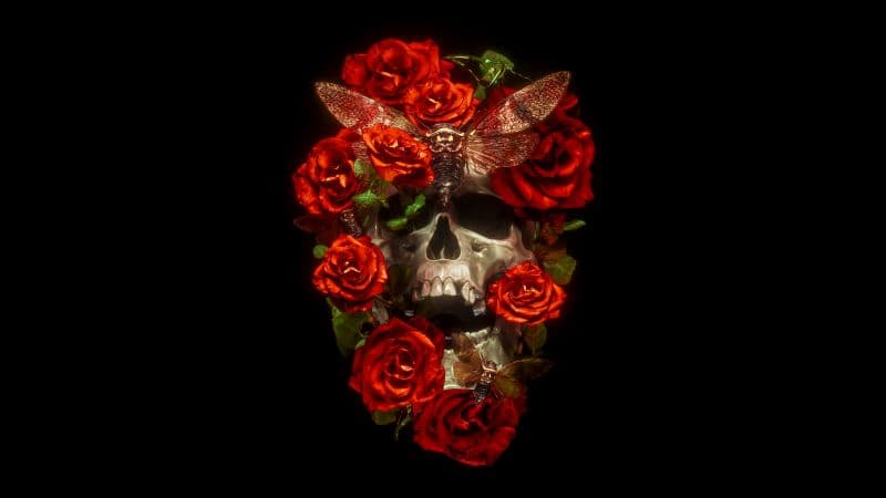 Skull Roses Wallpaper