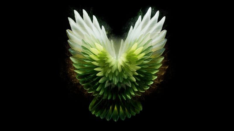 Angel wings Green aesthetic Wallpaper