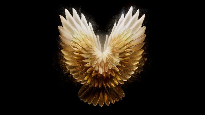 Angel wings Golden yellow Wallpaper