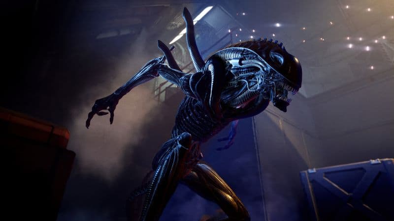 Alien: Rogue Incursion 5K Wallpaper