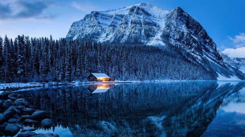 Lake Louise Winter forest Wallpaper