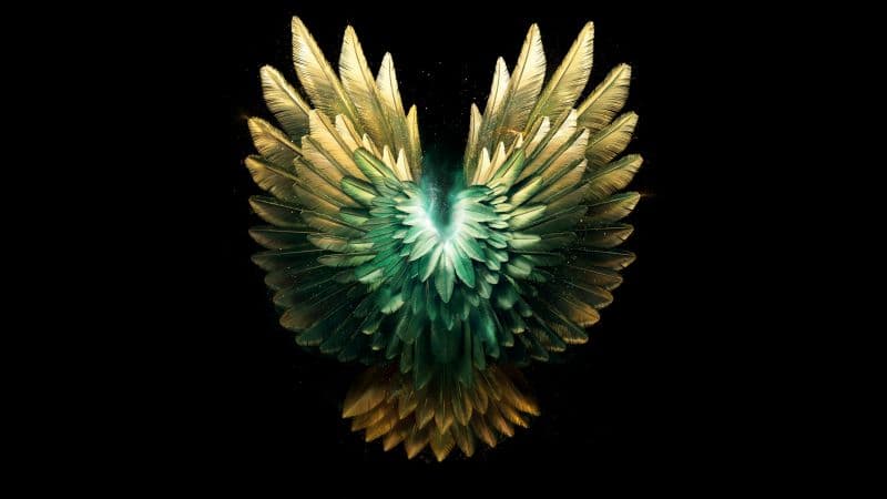 Angelic Wings Wallpaper