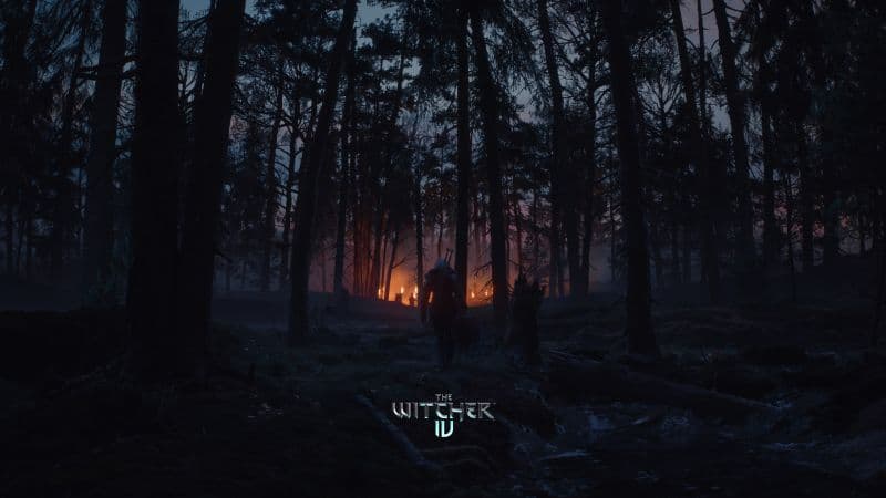 The Witcher IV Dark Forest Wallpaper