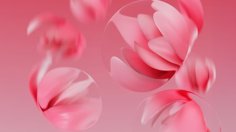 Cherry blossom Abstract art Wallpaper