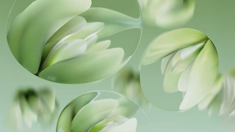 Water lilies Abstract art Wallpaper