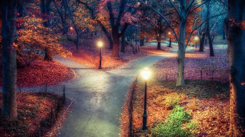 Central Park New York City Wallpaper