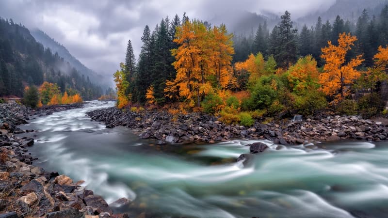 Autumn River Stream Wallpaper