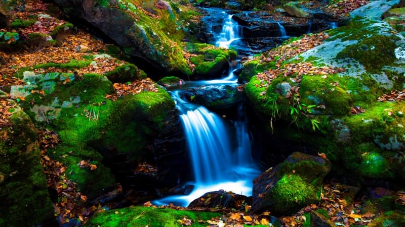 Mossy rocks Green Moss Wallpaper