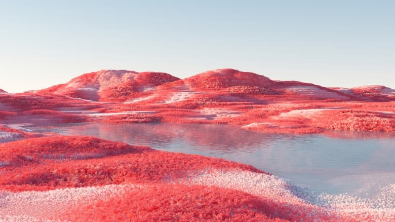 Landscape Infrared vision Wallpaper