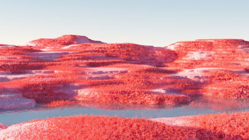 Infrared Landscape Wallpaper