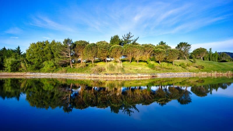 Green Trees Blue Sky Wallpaper