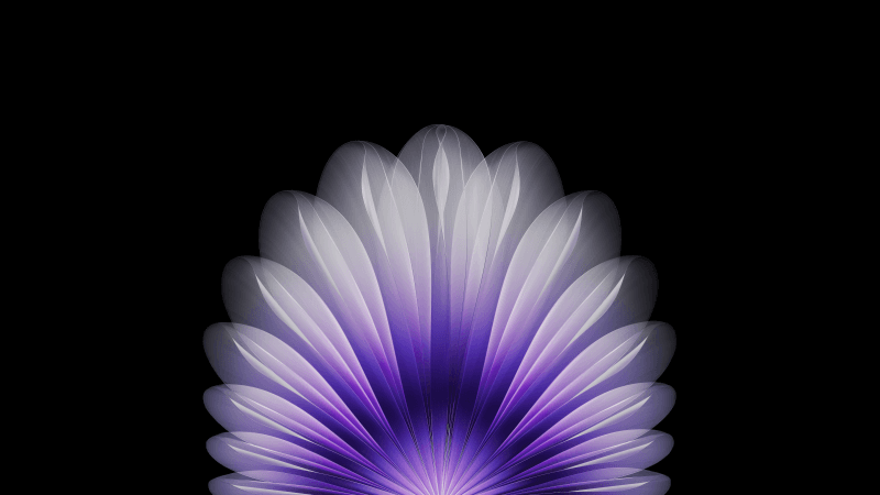 Floral Purple abstract Wallpaper