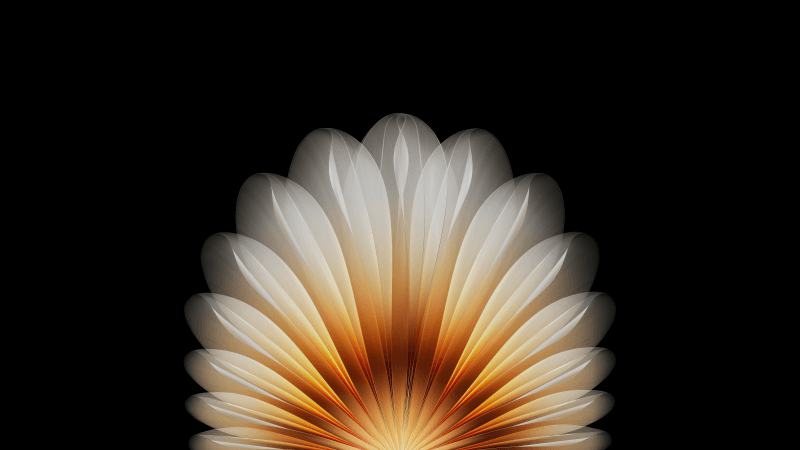Floral Abstract design Wallpaper