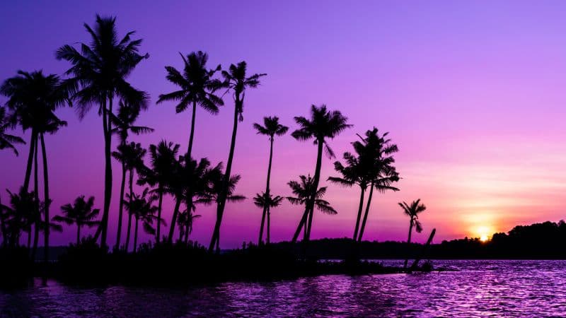 Purple Sunrise Clear sky Wallpaper