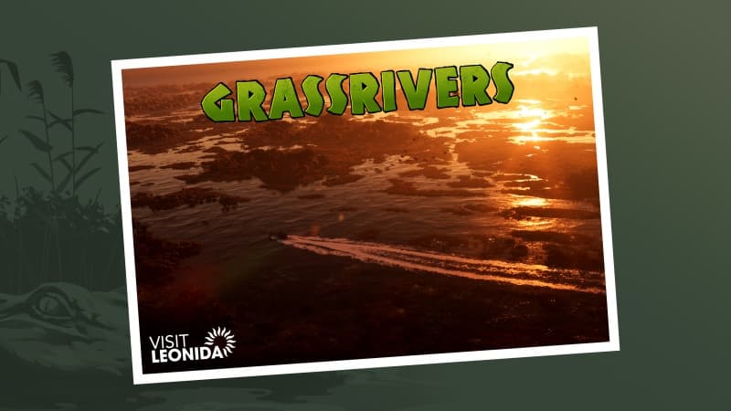 Grassrivers Postcard Wallpaper