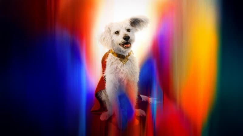Krypto Superdog Wallpaper