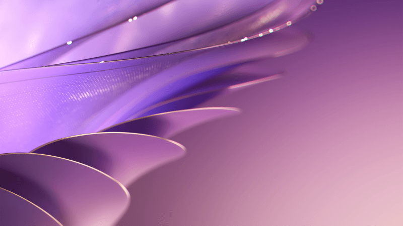 Purple gradient Abstract art Wallpaper