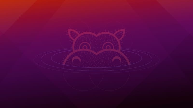 Ubuntu 21.04 (Hirsute Hippo) Stock Wallpaper
