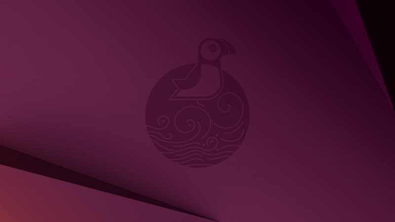 Ubuntu 25.04 Plucky Puffin Stock Wallpaper