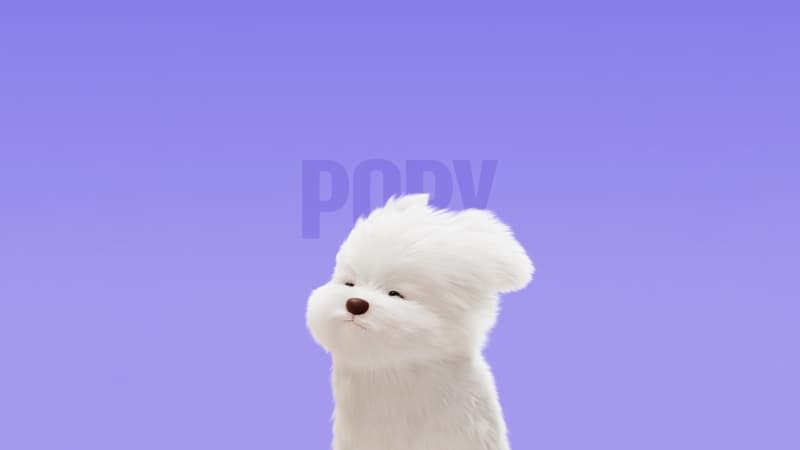 Maltese Dog Cute cartoon Wallpaper