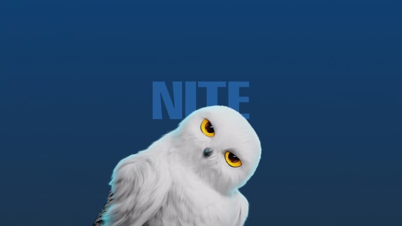 White Owl Cute cartoon Wallpaper
