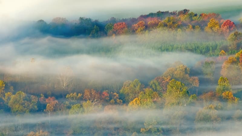 OS X Lion Autumn Wallpaper