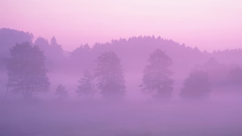 OS X Lion Pink aesthetic Wallpaper