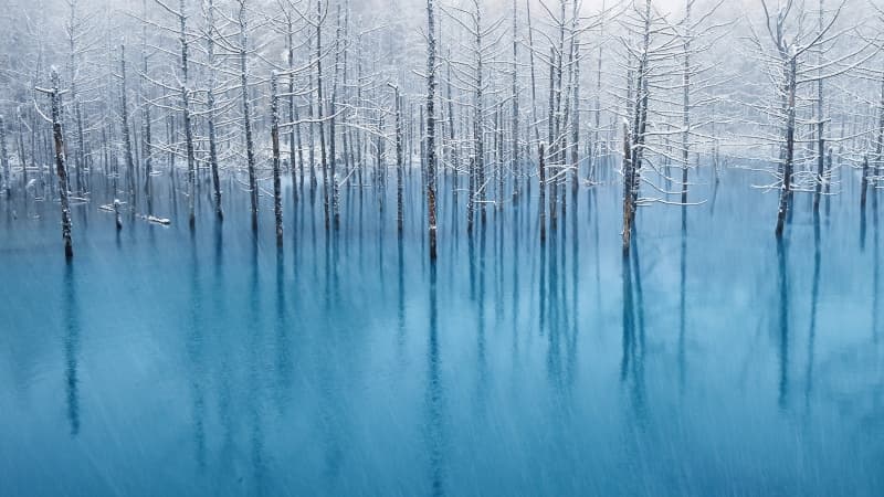 OS X Mountain Lion Winter Wallpaper
