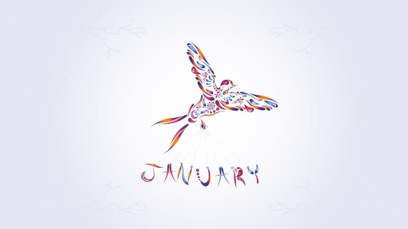 January Abstract bird Wallpaper