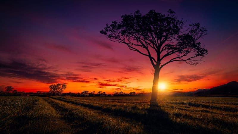 Sunset Orange sky Wallpaper