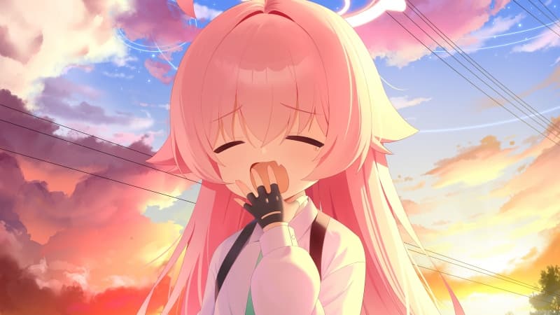 Takanashi Hoshino Blue Archive Wallpaper