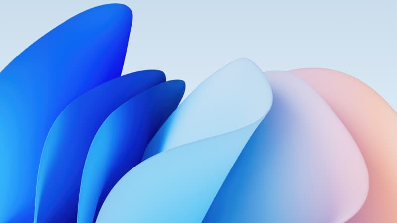 Microsoft Design Bloom collection Wallpaper