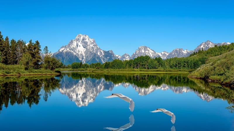 Lake Blue aesthetic Wallpaper