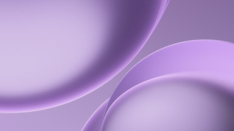 Purple abstract Curves Wallpaper