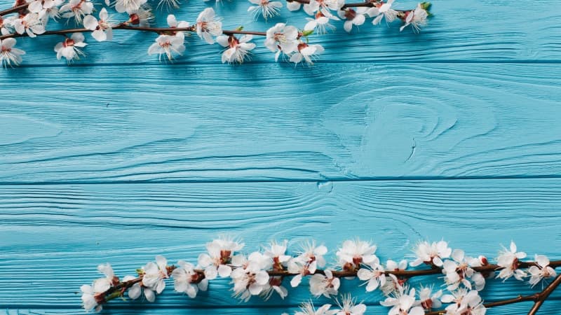 Spring flowers Wooden background Wallpaper