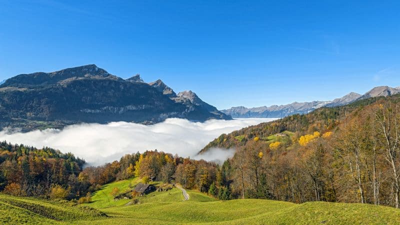 Green landscape Mountain Wallpaper