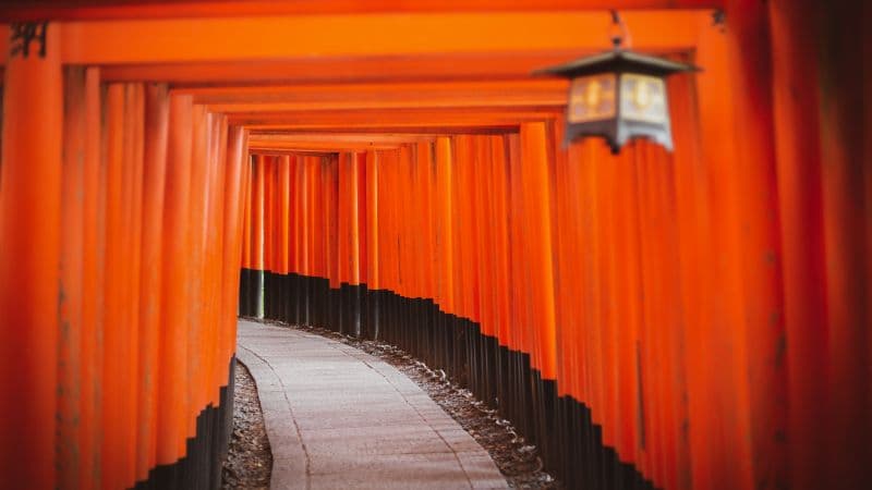 Shinto Shrine Tokyo Wallpaper