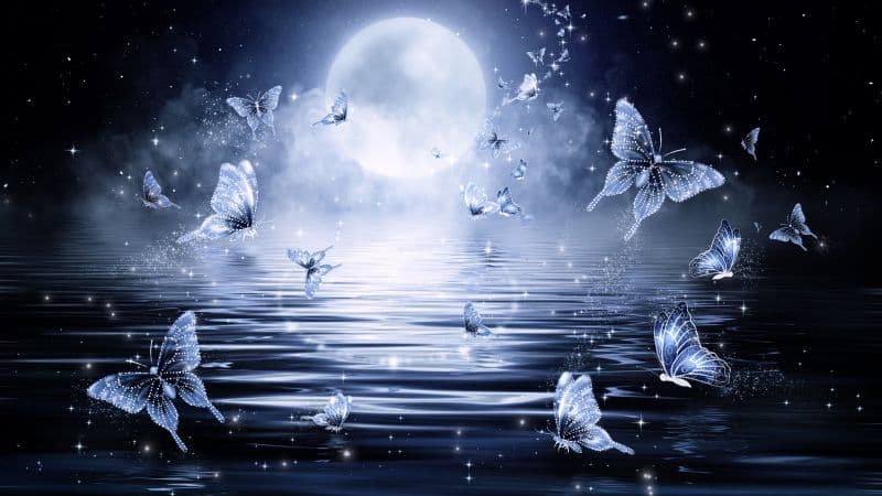Butterflies Stars Wallpaper