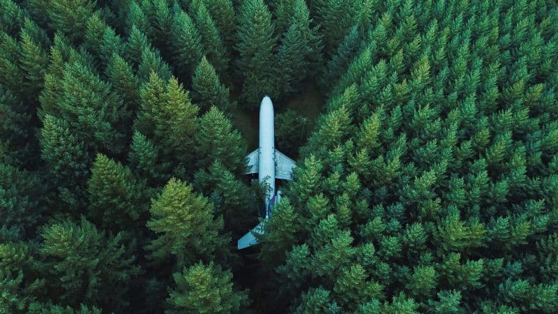 Airplane Green Trees Wallpaper