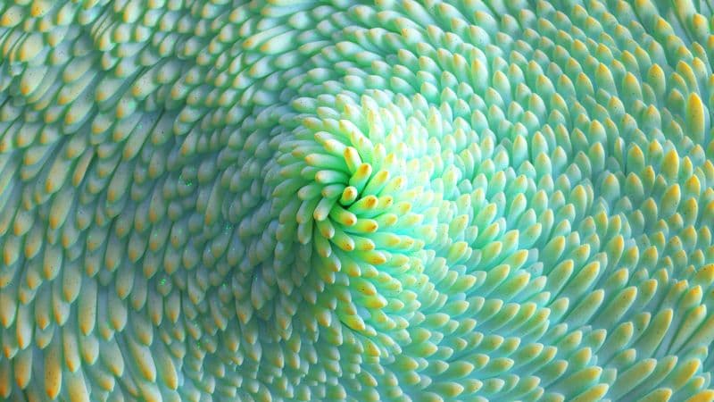Texture Render Wallpaper