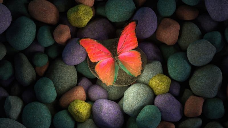 Butterfly Stones Wallpaper