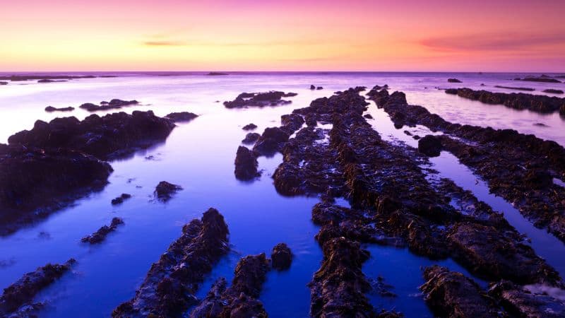 Fitzgerald marine reserve Sunset Wallpaper