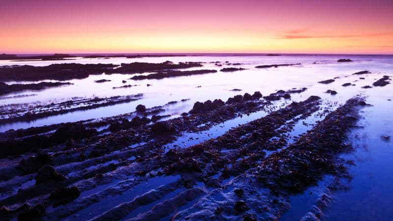 Fitzgerald marine reserve California Wallpaper